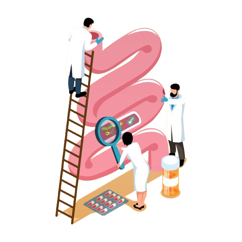 2304_i105_024_s_m005_c13_isometric_gastroenterologist-removebg-preview